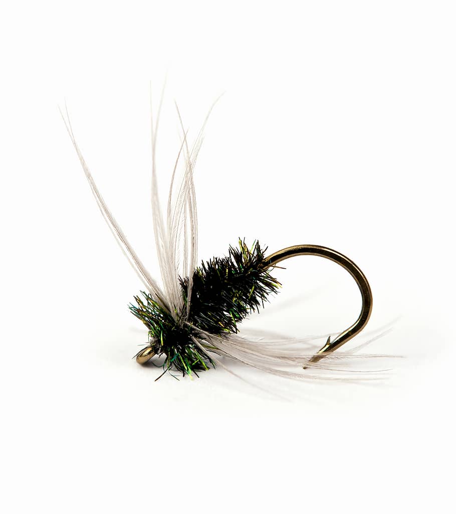 Grouse Hackles For a range of Fly Patterns 15 Per pack TURR Fly Tying Feathers 