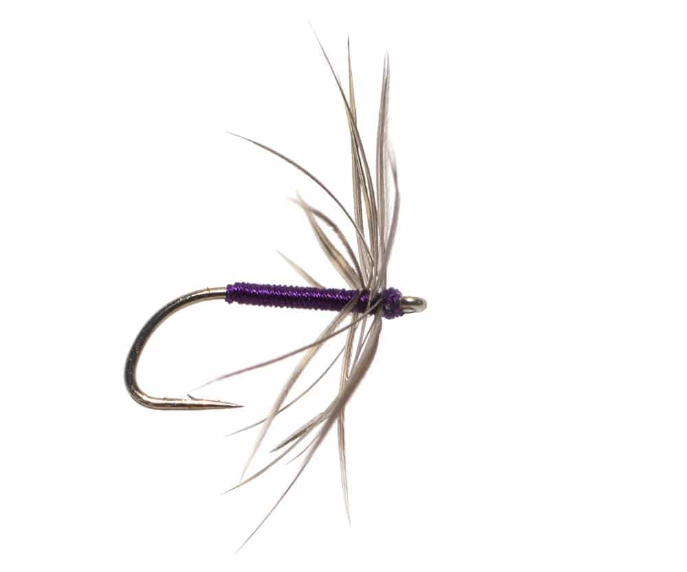 North Country Spider Snipe and Purple