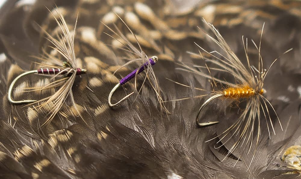 Snipe Hackle for north country spiders
