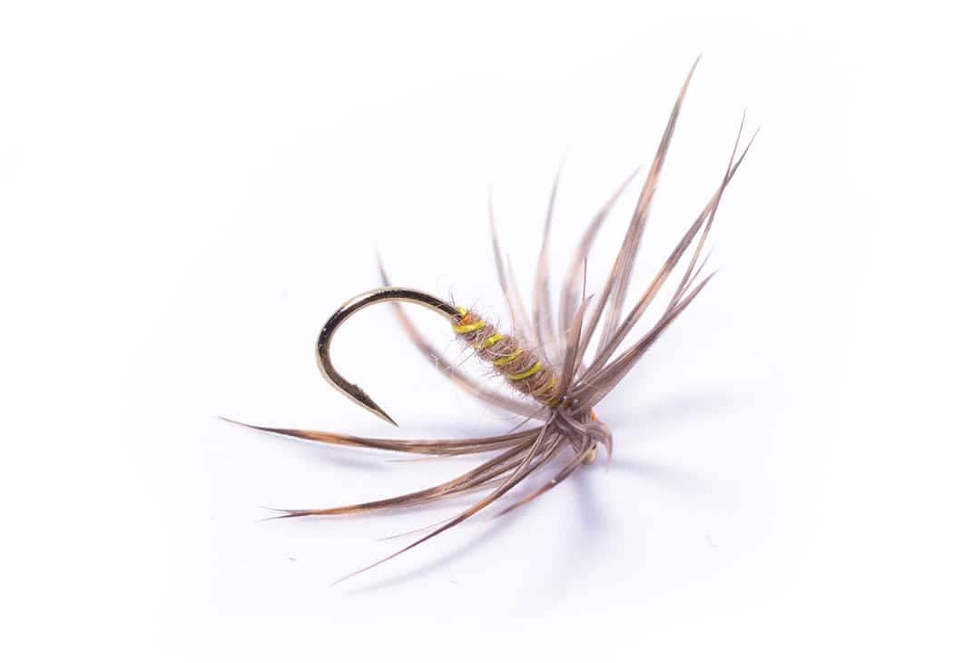 Duel Cruik North Country Spider