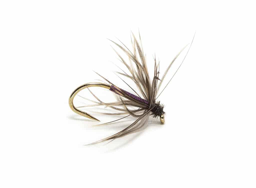 Sylvester Lister's dressing of the Snipe and Purple