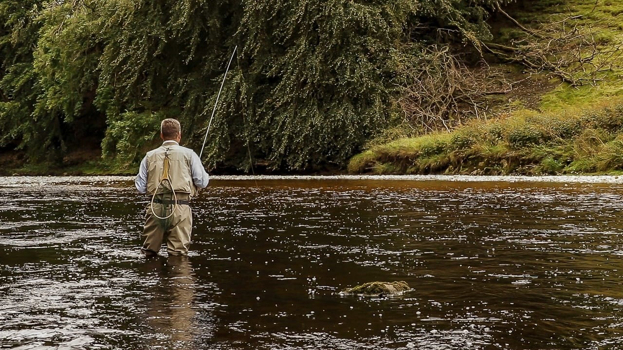 trout fishing yorkshire dales