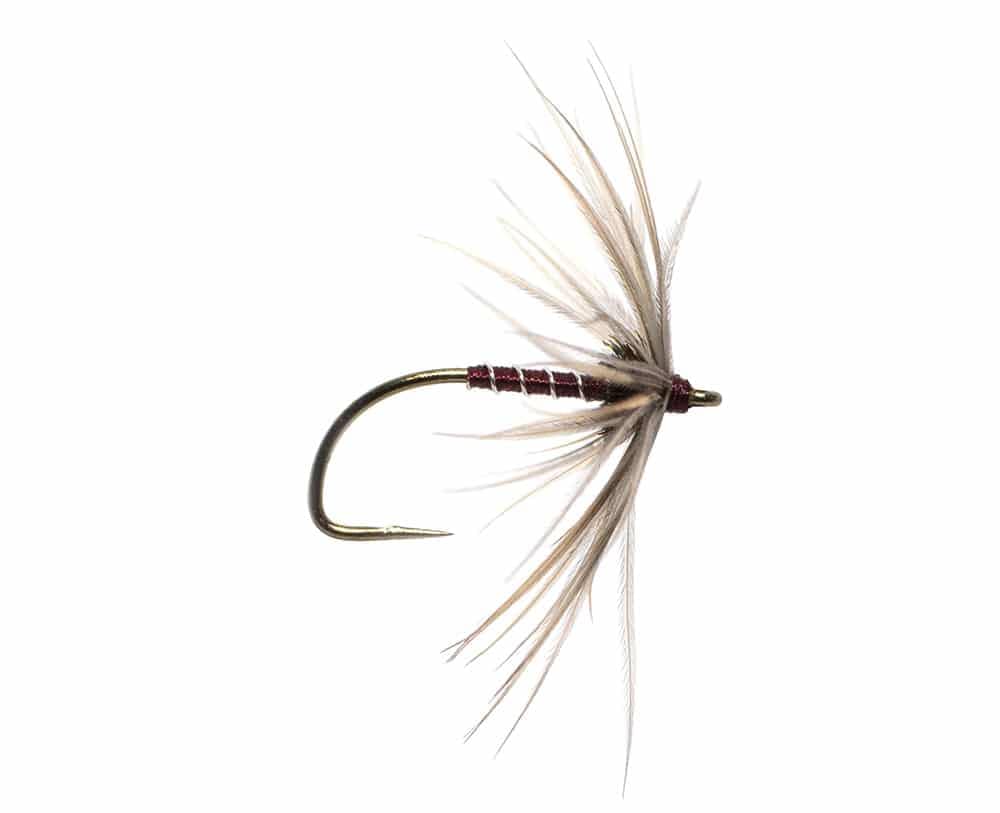 North Country Spider the Cowside Spider tied by Robert Smith
