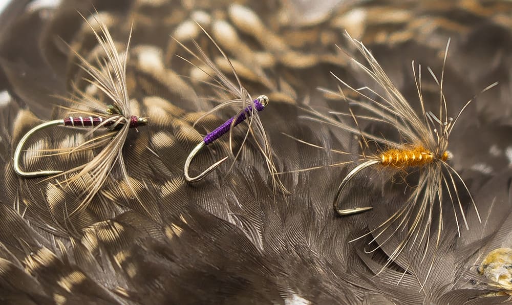 Snipe Hackles and North Country Spiders