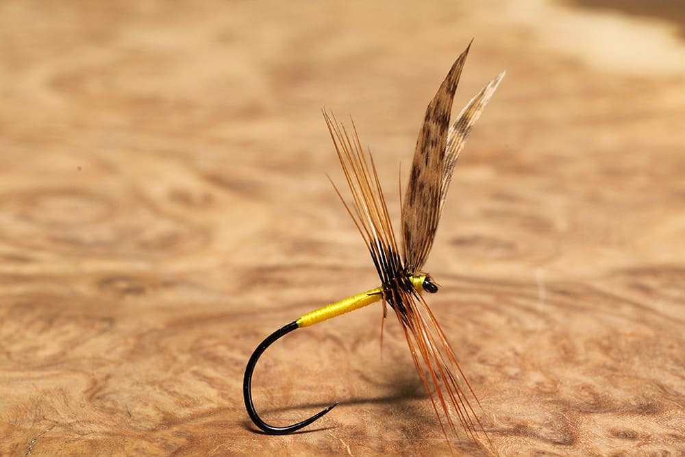 Dr William Baigent's Brown dry fly